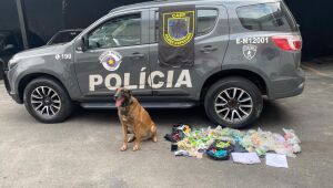 Opera&ccedil;&atilde;o Impacto Grande Envergadura apreende 8kg de drogas no Alto Tiet&ecirc;