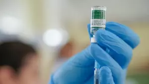 Dengue: Anvisa cria grupo para avaliar segurança da vacina do Butantan