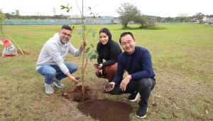 No Mês do Meio Ambiente, OAB Suzano planta 50 árvores no Parque Max Feffer