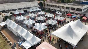 39&ordf; Festa da Cerejeira deve reunir mais de 30 mil visitantes em Suzano