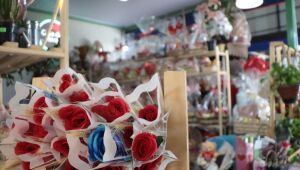 ACE Suzano projeta alta de at&eacute; 3,5% nas vendas para o Dia dos Namorados na cidade
