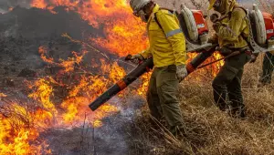 Governo repassa R$ 337 milh&otilde;es para combate a inc&ecirc;ndios e desmatamento