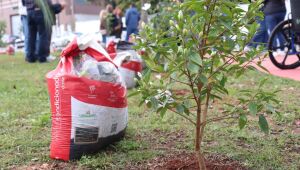 Parceria entre Meio Ambiente e Rotary resulta no plantio de 45 &aacute;rvores em pra&ccedil;a no Colorado