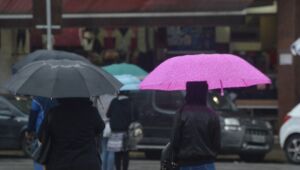Comiss&atilde;o e plano s&atilde;o criados ap&oacute;s Suzano reconhecer urg&ecirc;ncia de crise clim&aacute;tica