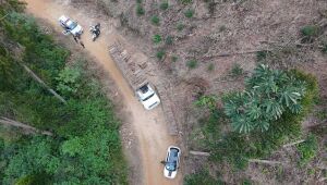 Pol&iacute;cia Militar impede furto de madeira avaliada em R$ 4,5 mil em Guararema