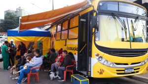 Mutir&atilde;o de castra&ccedil;&atilde;o gratuita beneficia 200 c&atilde;es e gatos no Parque S&atilde;o Francisco
