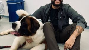 Pets precisam de cuidados especiais para evitar estresse em dias de jogos da Copa do Mundo