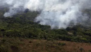 Copernicus: emissão global de gases por incêndios é a menor em 24 anos