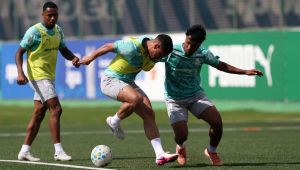 Palmeiras recebe Atl&eacute;tico-MG neste domingo em casa