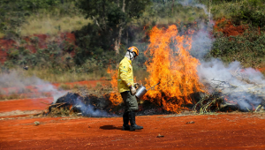 A&ccedil;&atilde;o humana &eacute; a principal causa de inc&ecirc;ndios; confira dicas da Defesa Civil
