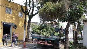 Secretaria de Manutenção realiza mais de 35 mil ações de zeladoria em seis meses
