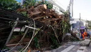 Ventania em RJ, SP e RS expõe falhas na resposta a extremos climáticos