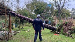 Rio Grande do Sul: chuvas deixam 720 desabrigados em Eldorado do Sul