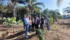 Governo de SP restaura cerca de 60 hectares da Bacia do Alto Tiet&ecirc;