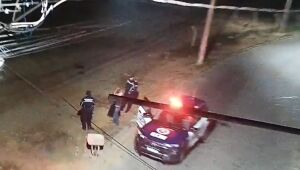 GCM de Ferraz identifica descarte irregular e autua infrator no Jardim Brígida