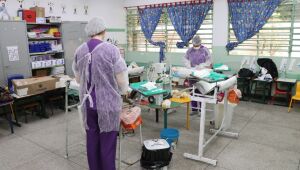 Meio Ambiente registra média mensal de 155 cães e gatos castrados no 1ª semestre