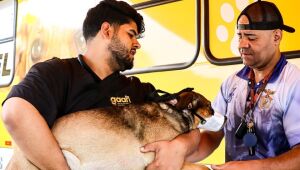 Prefeitura de Ferraz realiza mutirão gratuito de castração de cães e gatos de 24 a 26 de julho