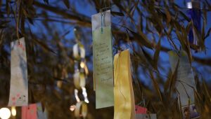 Cinco experi&ecirc;ncias que fazem do Tanabata Matsuri um dos eventos mais aguardados de Mogi