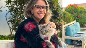 Assim como em humanos, envelhecimento de pets requer acompanhamento e cuidado preventivo
