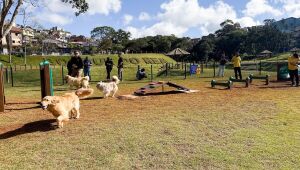 Prefeitura de Arujá promove 'Pet Day' com programação especial para pets e tutores