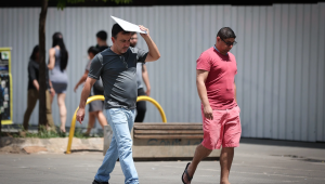 Defesa Civil alerta para onda de calor e riscos de inc&ecirc;ndios florestais no Estado