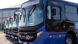 Pessoas cegas t&ecirc;m c&atilde;o-guia e gratuidade no transporte