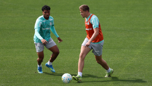 Palmeiras recebe o Vasco neste domingo pelo Brasileirão