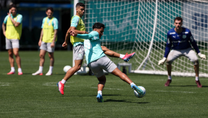 L&iacute;der do Campeonato, Palmeiras enfrenta o Mirassol fora de casa