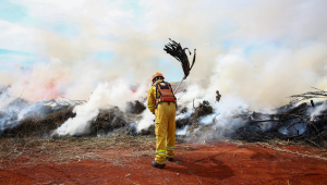 Alta temperatura e baixa umidade fazem Defesa Civil emitir alerta para risco de inc&ecirc;ndio no interior