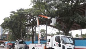Manutenção realiza poda em 16 ruas da região central em razão da previsão de ventos fortes