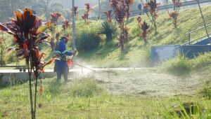 Meio Ambiente faz mutir&atilde;o de zeladoria em pra&ccedil;as por toda a cidade