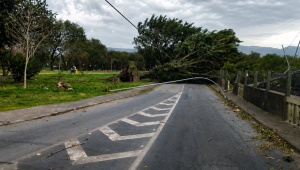 SP: ventania pode atingir 50 km/h no fim de semana