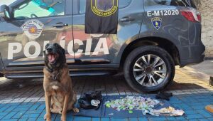 Grupo &eacute; preso com mais de 700 gramas de drogas em Ferraz