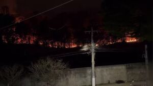 Fogo atinge &aacute;rea de vegeta&ccedil;&atilde;o pr&oacute;xima ao Parque Cidade Natureza em Aruj&aacute;