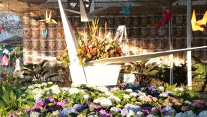 33&ordf; Expo Aflord chega ao &uacute;ltimo fim de semana com exposi&ccedil;&atilde;o e venda de flores, shows e Miss Batian