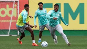 Palmeiras tem jogo decisivo contra LDU