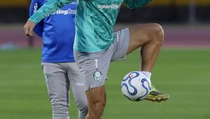 Palmeiras encara a LDU nesta quarta-feira