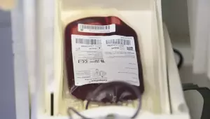 Fundação Pró-Sangue alerta para baixo estoque e faz apelo a doadores