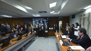 Comissão aprova MP da 'taxa das blusinhas': texto segue a plenários