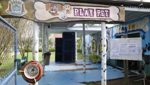 PlayPet é opção de lazer em Suzano para cães e tutores