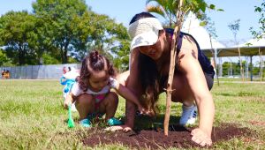 'Árvore FamiliAR' abre inscrições para nova edição no Parque Max Feffer