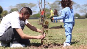 Suzano ultrapassa 1,5 mil plantios no ano em evento de alusão ao Dia da Árvore