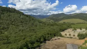 Agricultura ganha 11 milhões de hectares em 41 anos na Mata Atlântica