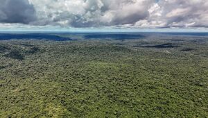 Fazenda autoriza cr&eacute;dito de US$ 1 bilh&atilde;o do BID para Eco Invest Brasil