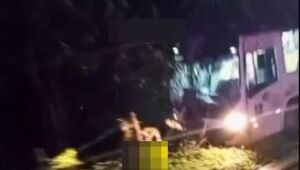 Motorista passa mal e ônibus bate em poste na Mogi-Salesópolis