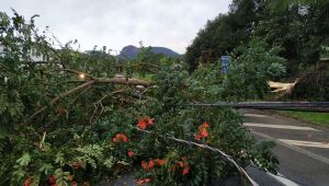 Alerta de tempestade: frente fria amplia instabilidade na Região Sul