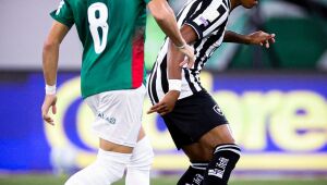 Botafogo segura Palmeiras e ajuda Flamengo, novo l&iacute;der do Brasileir&atilde;o