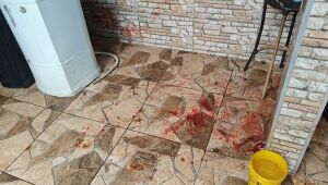 Homem é preso suspeito de esfaquear cão e ameaçar irmã em Itaquá