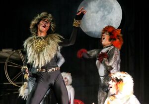 Theatro Vasques recebe espetáculo "Cats: O Musical"