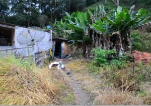 Setor de homicídio de Mogi esclarece assassinato em Salesópolis

